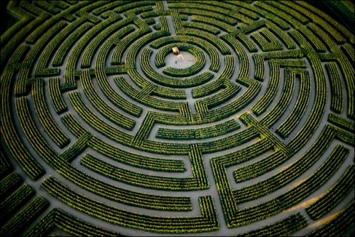 labyrinthe-vegetal.jpg